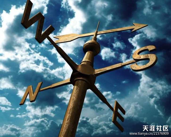硬件制胜OR体验为王，站在“Y”形路口的智能手机