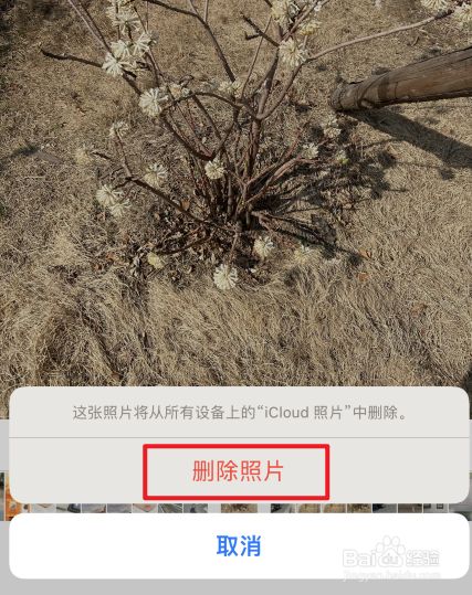 苹果手机照片删不掉怎么办苹果手机删掉的照片怎么找回