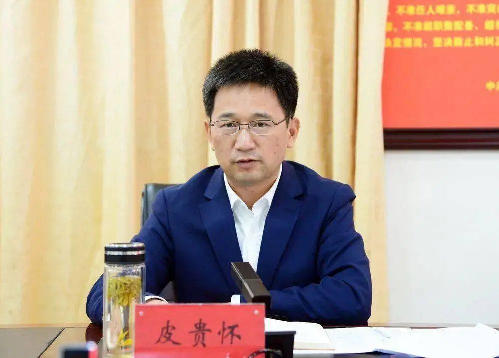 王者荣耀玩具版小苹果皮肤:履新2个月后，70后厅官落马