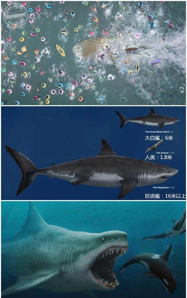 贪吃小怪兽苹果版
:《环太平洋2》《巨齿鲨》《侏罗纪世界2》今年大片怪兽谁最强悍-第4张图片-亚星国际官网