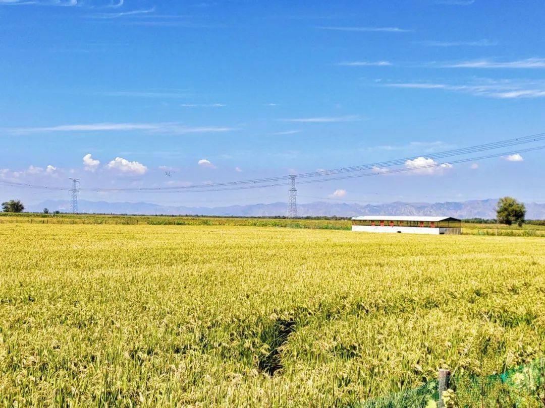 下载铃声美丽爵士版苹果:川上新村·塞上水乡