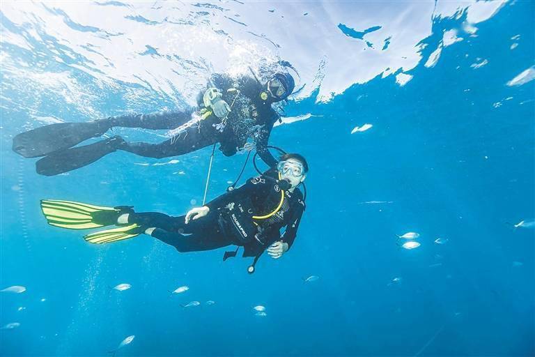 海南常来麻将苹果版:多元化玩法玩转海南 海洋旅游3.0版尽享亲海乐趣