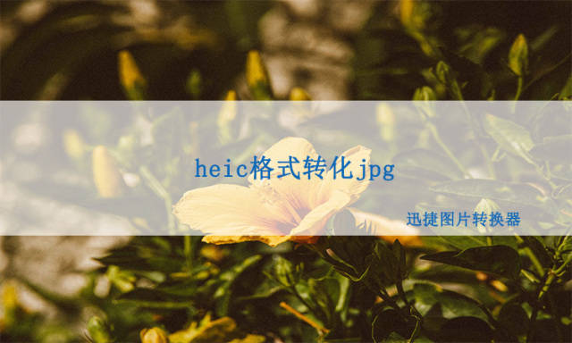 虾米 苹果导入电脑版:heic格式转化jpg，教你这种转换方法