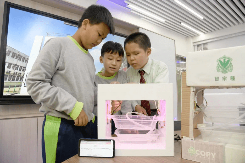 steam手机令牌:香港大力推动科技与艺术教育 激发创意思维 培养多元人才-第3张图片-亚星国际官网