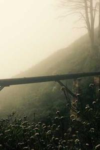 饥荒手机版怎么养动物-第3张图片-亚星国际官网 饥荒手机版怎么养动物-第3张图片-亚星国际官网