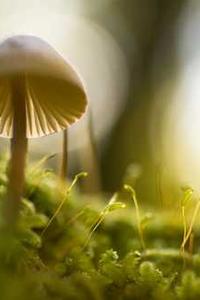 商用版收款助手下载苹果版-第3张图片-亚星国际官网 商用版收款助手下载苹果版-第3张图片-亚星国际官网