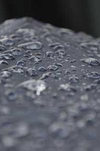 可颂苹果版下载-第1张图片-亚星国际官网 可颂苹果版下载-第1张图片-亚星国际官网