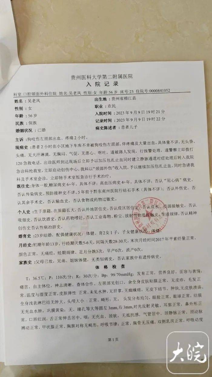 奶奶为保护孙子被狗撕咬！家属：已花费10多万，狗主人仍未找到-第4张图片-亚星国际官网