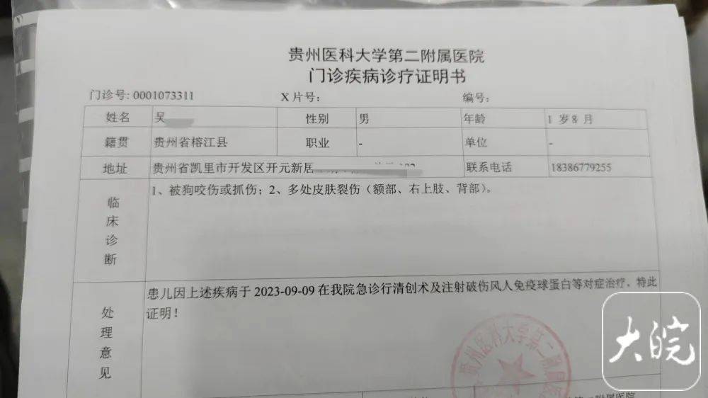 奶奶为保护孙子被狗撕咬！家属：已花费10多万，狗主人仍未找到-第5张图片-亚星国际官网