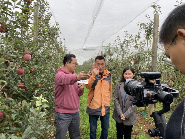 昭通新闻苹果昭通新闻最新消息