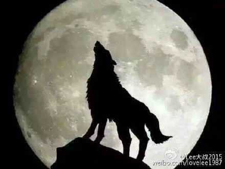 迅丰手机客户端手机客户端和app区别-第2张图片-亚星国际官网