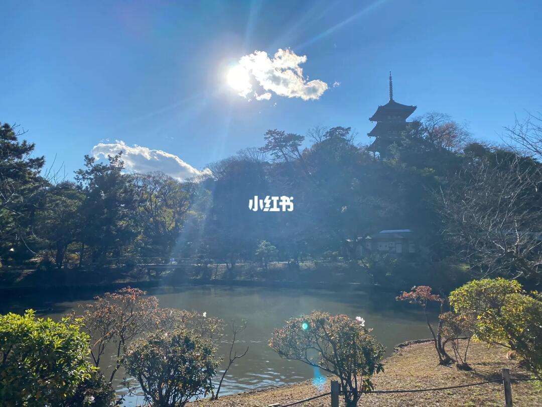 我们的病栋安卓版病房轶事游戏安卓版