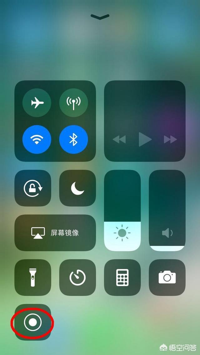 录视频苹果版俄罗斯iphone13视频