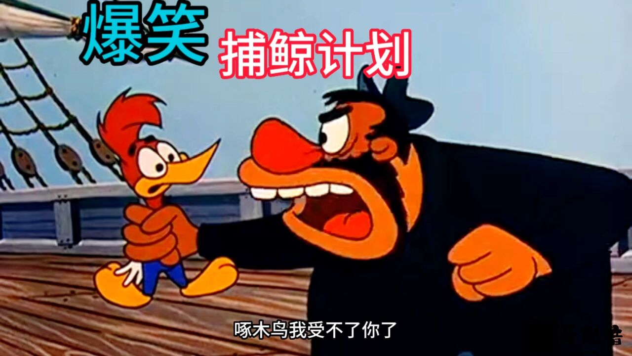 鲸鱼配音苹果版白鲨听书苹果版下架了-第2张图片-亚星国际官网