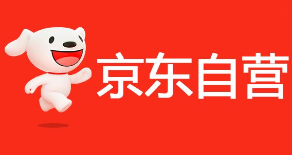 京东app苹果版下载电脑版苹果平板如何打开京东电脑版网页-第2张图片-亚星国际官网