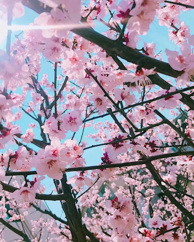 快手2019版苹果手机快手下载免费正版苹果手机