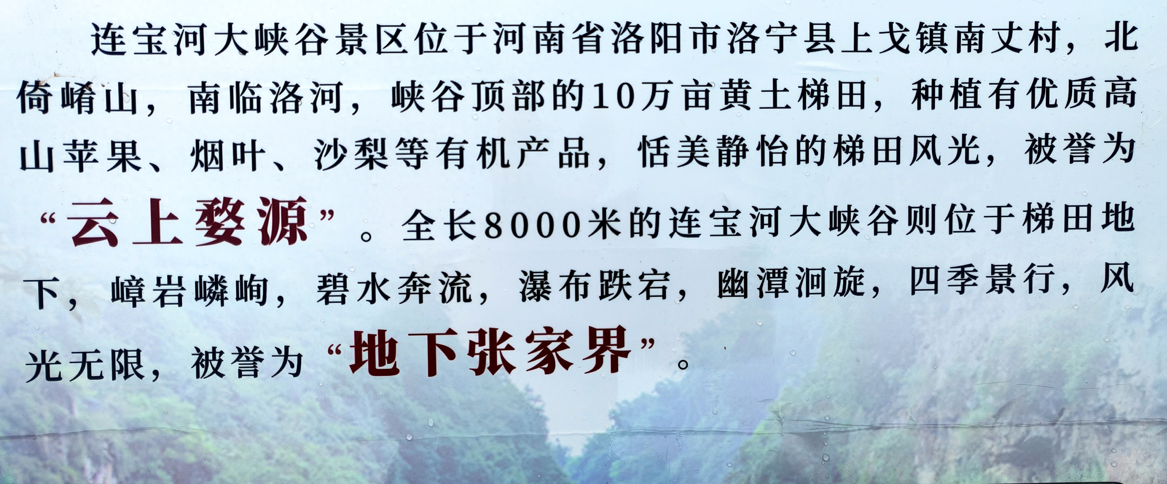 云上洛宁苹果版云·梦幻西游手游只能苹果吗-第2张图片-亚星国际官网