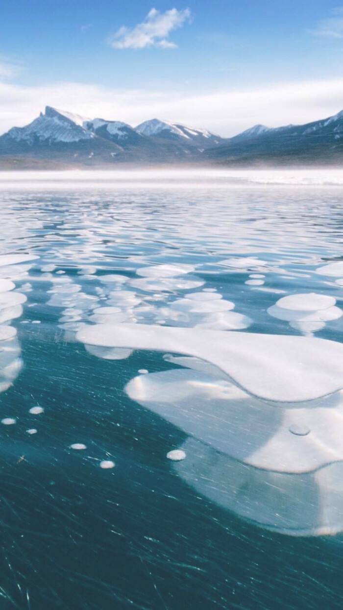 blue破解版苹果(lanzous苹果破解版)-第5张图片-有道翻译官网 blue破解版苹果(lanzous苹果破解版)-第5张图片-有道翻译官网