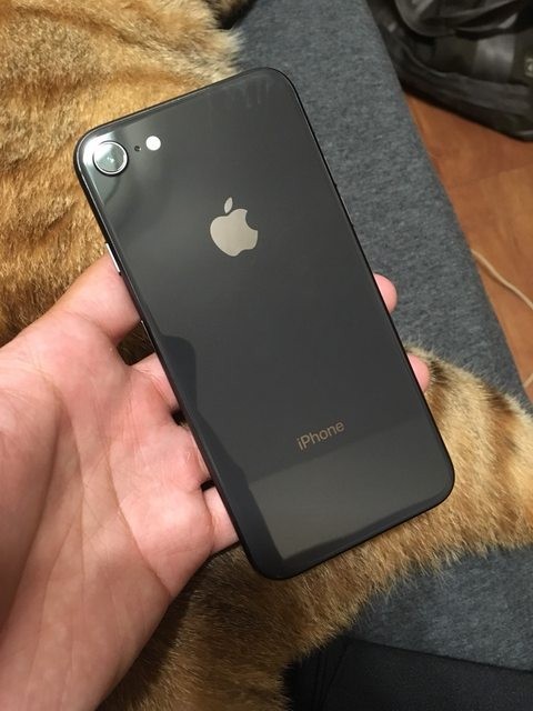 苹果口袋版进不去(口袋进化苹果官方下载)-第14张图片-有道翻译官网